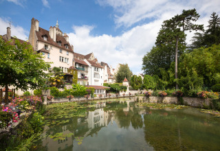 Prachtig zicht bij Ounans, Bourgogne-Franche-Comté, Frankrijk, met historische huizen, vijver en bloemen.