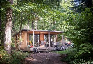 Houten hut in Huttopia Wattwiller, Grand Est, Frankrijk, met fietsen en terras tussen het groen.