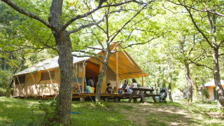 Familia relajándose frente a una tienda safari en un bosque frondoso, rodeados de árboles verdes.