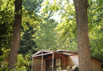 Træhytte Chalet Evasion på Huttopia Wattwiller i Frankrig, omgivet af grønne træer og natur.