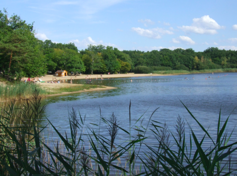 Photo shows the sandy beach and lake at Camping Seasonova L'Etang des Bois surrounded by lush green forest.