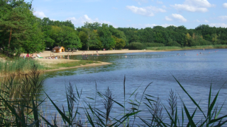 Foto de la playa y lago en Camping Seasonova L'Etang des Bois, rodeados de bosque verde en el centro de Francia.