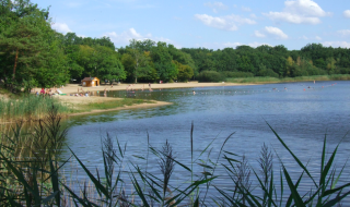 Foto de la playa y lago en Camping Seasonova L'Etang des Bois, rodeados de bosque verde en el centro de Francia.