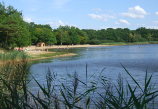 Photo shows the sandy beach and lake at Camping Seasonova L'Etang des Bois surrounded by lush green forest.