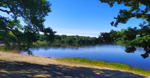 Lago tranquillo circondato da alberi e spiaggia sabbiosa vicino a Vieilles-Maisons-sur-Joudry, Centre-Val de Loire.