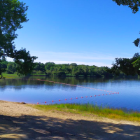 Lago tranquilo rodeado de árboles y arena cerca de Vieilles-Maisons-sur-Joudry, Centre-Val de Loire, Francia.