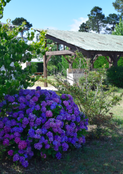 Parque de vacaciones Village Seasonova Bassin d'Arcachon en Nueva Aquitania, Francia con jardín y pabellón.