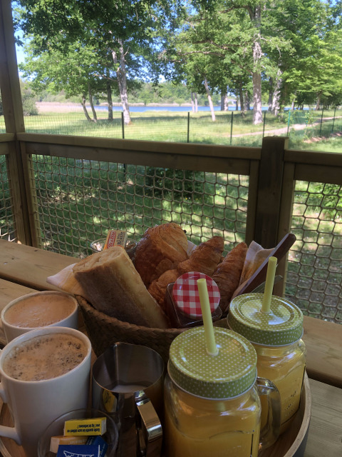 Desayuno en la terraza de una tienda safari con café, jugo, pan y vista a la naturaleza verde.