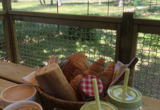 Desayuno en la terraza de una tienda safari con café, jugo, pan y vista a la naturaleza verde.