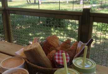 Desayuno en la terraza de una tienda safari con café, jugo, pan y vista a la naturaleza verde.