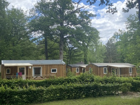 Three wooden cabins are set among trees beneath a blue sky, photographed at the glamping site Cottage Zen.