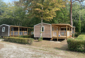 Twee houten huisjes met een overdekt terras, omgeven door bomen op het glampingverblijf Cottage Zen.