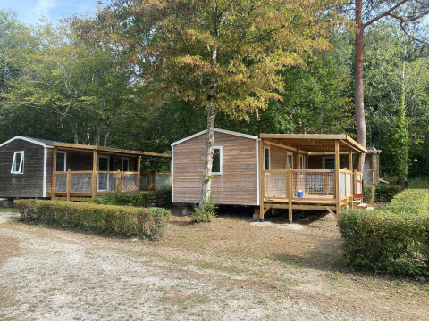 Two wooden cabins with covered porches set among trees and bushes at the glamping site called Cottage Zen.