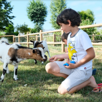 Een kind voert een geitje op het gras, binnen een houten omheining bij Camping Seasonova Haliotis, Normandië.
