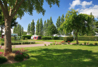 Grüner Campingplatz mit Bäumen, Wohnwagen und Blumen bei sonnigem Wetter in Camping Seasonova Haliotis, Normandie.