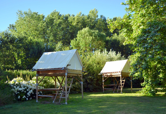 Dos tiendas tipo Bivouac elevadas en un camping verde y frondoso, rodeadas de árboles y arbustos bajo el sol.