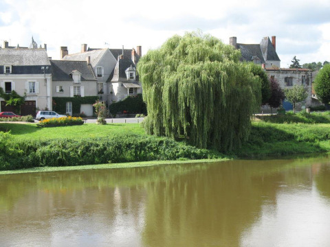 Paysage au Camping Seasonova Les Plages de Loire en Pays de la Loire, France, avec rivière et saule pleureur.