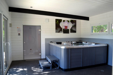 Jacuzzi y sauna interior en una habitación luminosa con ventanas, decoración moderna y cuadro de orquídea.