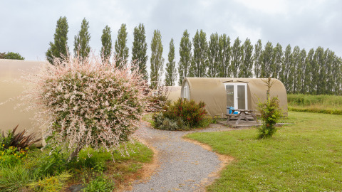 Gravel path to a Coco Sweet safari tent, picnic table, blossoming bushes and tall trees in a green field.