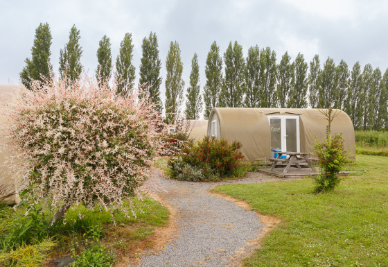 Gravel path to a Coco Sweet safari tent, picnic table, blossoming bushes and tall trees in a green field.
