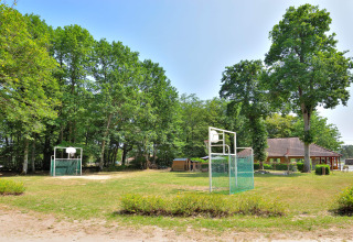 Basketbalvelden in de open lucht omgeven door bomen op Camping Seasonova Etang de la Vallée, Frankrijk.
