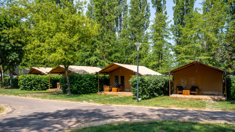 Sfeervolle glamping tenten op Camping Seasonova Vesoul, in Bourgogne-Franche-Comté, Frankrijk, omringd door groen.