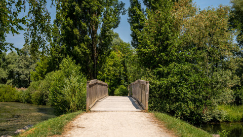 Houten brug over een riviertje omgeven door bomen bij Camping Seasonova Vesoul in Bourgogne-Franche-Comté.