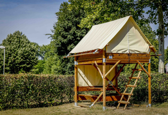 Tienda safari Bivouac Explorer sobre plataforma elevada con escalera, rodeada de arbustos y árboles verdes.