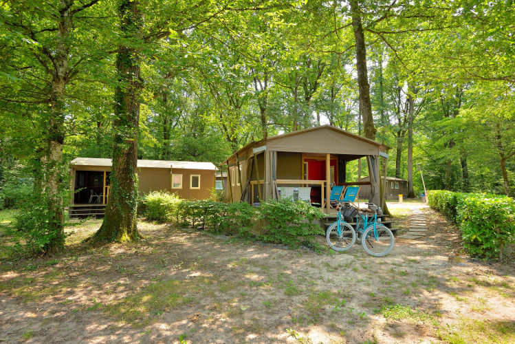 Mobilodge al Camping Seasonova Etang de la Vallée in Francia, immerse tra alberi verdi e natura rigogliosa.