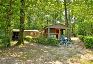 To Mobilodge-hytter på Camping Seasonova Etang de la Vallée i Frankrig, omgivet af grøn skovnatur.