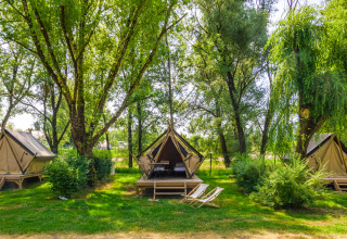 Drie tipi tenten staan verspreid onder groene bomen op een camping, met stoelen en tafels bij elk tent.