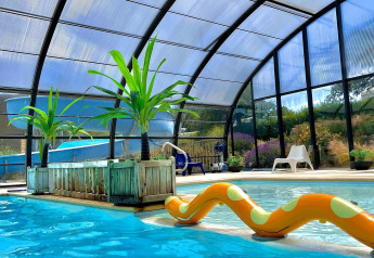 Indendørs swimmingpool med gennemsigtigt tag, palmer og oppustelig legetøj på glamping-indkvartering.