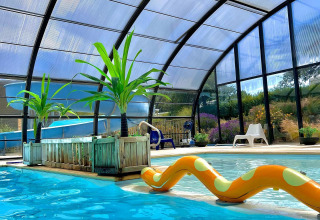 Indoor pool at a glamping site with palm decorations, clear roof, garden view, and pool float.