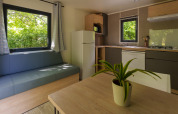 Modern lodge interior with dining table, green plant, sofa and full kitchen, featuring large windows to nature.