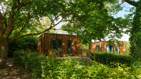 Dos cabañas modernas de madera rodeadas de árboles y arbustos verdes en un entorno de bosque tranquilo.