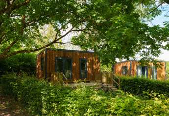 Twee houten lodges te midden van groene struiken en bomen, perfect voor een rustige bosvakantie.