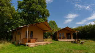 Two safari tents at Slow Lodge beneath a blue sky, surrounded by green trees and grass, with outdoor seating.