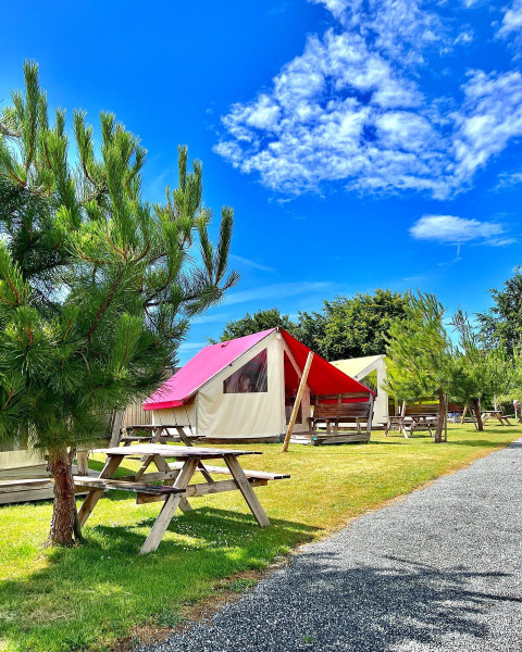 Campamento de tiendas safari con bancos de picnic y pinos bajo un cielo azul brillante y soleado.