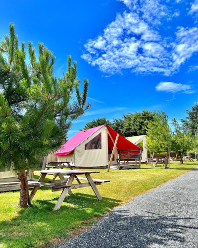 Safari tents with picnic tables and pine trees on a sunny day, under a vibrant blue sky with clouds.
