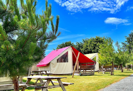 Campamento de tiendas safari con bancos de picnic y pinos bajo un cielo azul brillante y soleado.