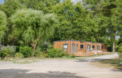 Wooden cabins surrounded by lush trees at Camping Seasonova du Chêne, a holiday park in Pays de la Loire, France.