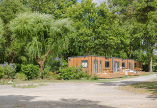 Wooden cabins surrounded by lush trees at Camping Seasonova du Chêne, a holiday park in Pays de la Loire, France.