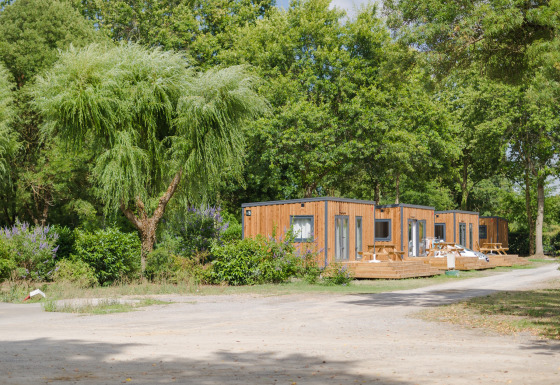 Wooden cabins surrounded by lush trees at Camping Seasonova du Chêne, a holiday park in Pays de la Loire, France.