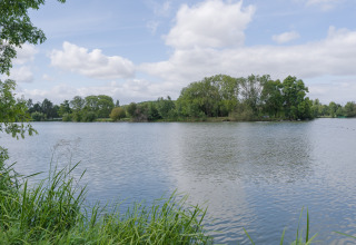 Vista su un lago tranquillo con alberi e piante verdi al Camping Seasonova du Chêne, Pays de la Loire, Francia.