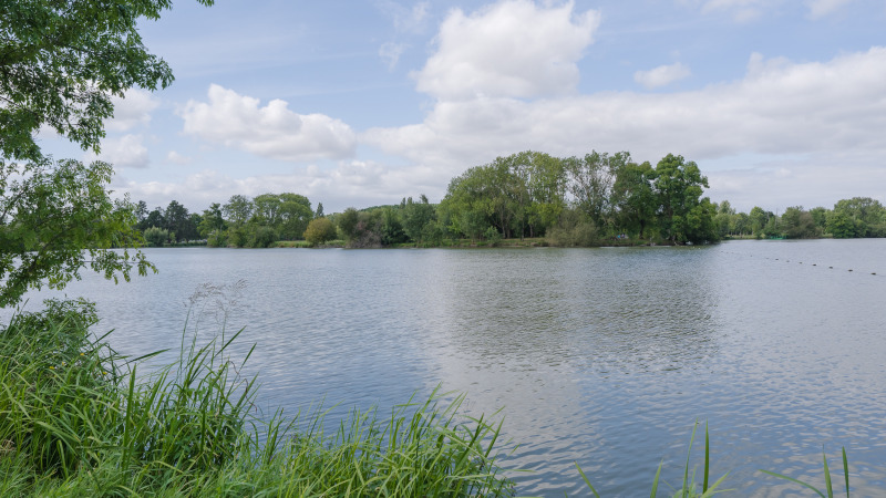 Uitzicht op een rustige plas met bomen en groen bij Camping Seasonova du Chêne in Pays de la Loire, Frankrijk.