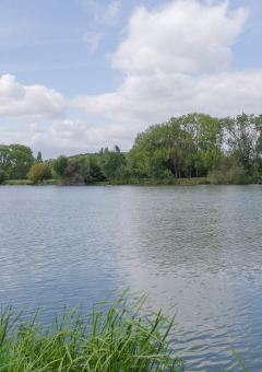 Blick auf einen ruhigen See mit Bäumen und grünen Pflanzen im Camping Seasonova du Chêne, Pays de la Loire, Frankreich.