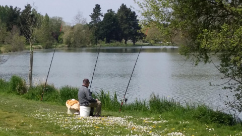 Un hombre pesca junto al lago en Camping Seasonova du Chêne, Pays de la Loire, Francia, rodeado de naturaleza.