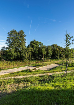 Paysage ensoleillé au parc de vacances Domaine Seasonova Saâne et Mer en Normandie, France, avec prairies