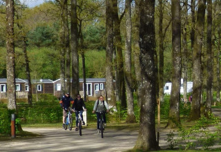Fietsers verkennen het bos van Camping Seasonova La Forêt, een vakantiepark in Pays de la Loire, Frankrijk.