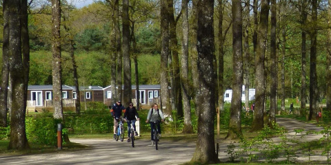 Radfahrer fahren durch einen bewaldeten Campingplatz im Ferienpark Camping Seasonova La Forêt in Frankreich.